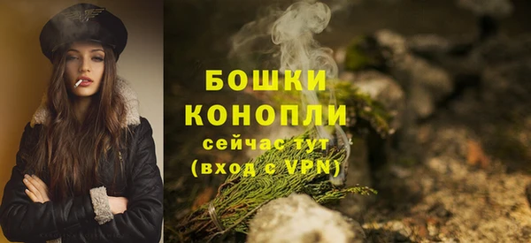 тгк Богородицк