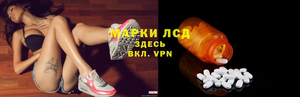 мдпв Богданович