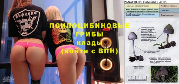 мдпв Богданович