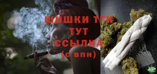 тгк Богородицк